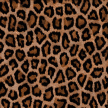 Leopard Skin Pattern