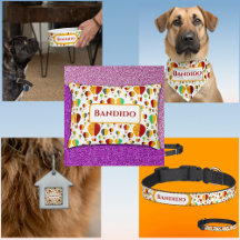 New Mexico Zia Hot Air Balloons