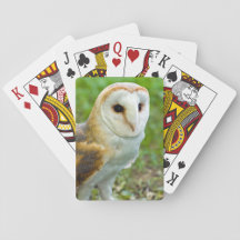 Playing cards