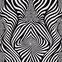 Zebra Abstract B&W
