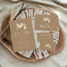 Brown Stork Baby Delivery Boy or Gir Gender Reveal