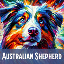 Australian Shepherd: Art Gift Collection