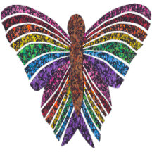 Rainbow Butterfly Collection