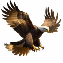 Fly Beyond Limits – Eagle Collection