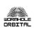 Wormhole Orbital