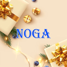 Noga_Name T-Shirt