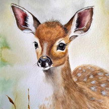 Little Deer