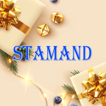 Stamand_Name T-Shirt