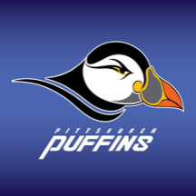 Pittsburgh Puffins