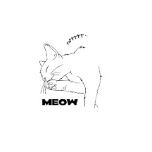 Pets (Cat & Dog and more)