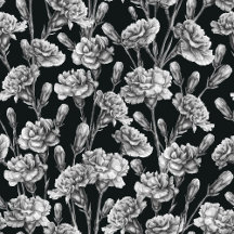 Carnation flowers Black