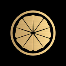 Apple iPhone Protective Cases