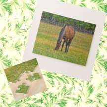 Animal and Bird Puzzles