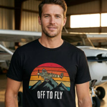 Vintage Retro Sunset and Airplane