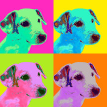 Animals - Tiere, Tier-Motive