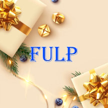 Fulp_Name T-Shirt