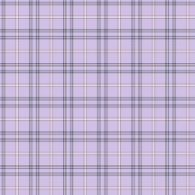 Plaid No. 20