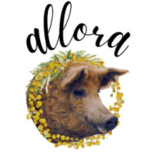 Allora (with a wooly pig & mimosa flower wreath)