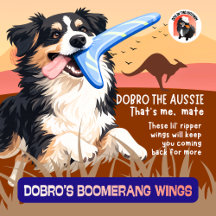 THE OUTBACK • DOBRO the Aussie