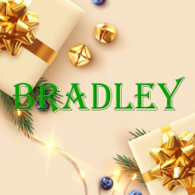 Bradley Name T-Shirt