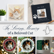 In Loving Memory of a Cat