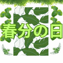 Fairy Japanese festival