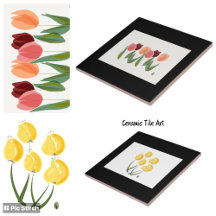 Ceramic Tiles Collection