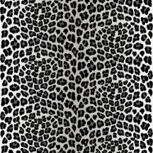 Stylish Snow Leopard Print Collection