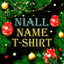 Niall Name T-Shirt