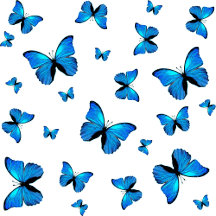 Cute Blue And White Butterflies 