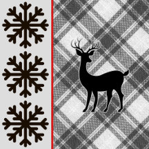 Black and White Christmas