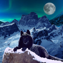 Black Wolf Moon