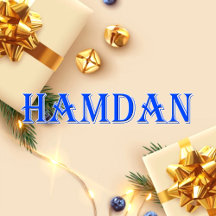 Hamdan_Name T-Shirt