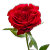 ProGift_Studio