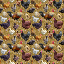 Backyard Chickens on Glitter Backgrounds