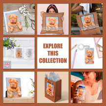 Best Dog Mom Ever Collection