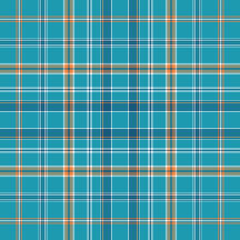 Plaid No. 55