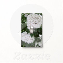 Home Decor Accessories