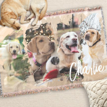 Photo Journey Keepsakes
