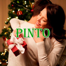 Pinto_Name T-Shirt
