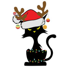 Oh What a Year   Funny Christmas and New Years