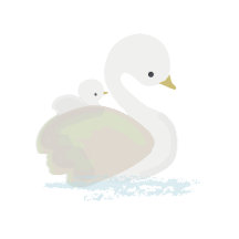 Swan Baby Shower