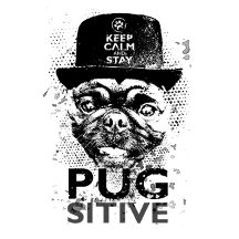 Keep Calm and Stay Pugsitive Collection