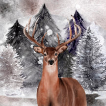 Holiday Nature Ornaments