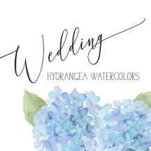 Wedding - Blue Hydrangea  Series