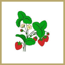 Kitchen Jars, Jugs, Pitchers and Teapots