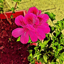 classic rustic retro blooming flower