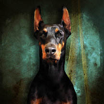 For Doberman Lovers