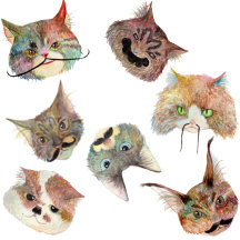 ひげ猫(cat with beard/gato com barba)