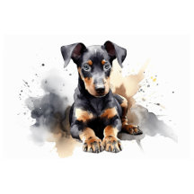 Doberman Pinscher
